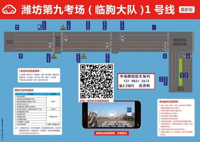 潍坊科目三第九考场临朐大队考场视频高清路线图必过包最新版模拟考试陪练攻略